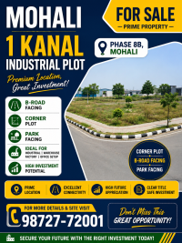1 Kanal Industrial Plot for Sale – Prime Location in Mohali!