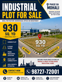 Industrial Plot for Sale – Phase 8A, Mohali