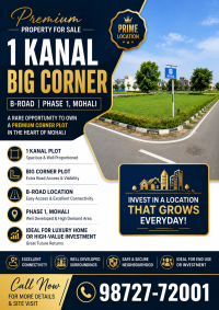 1 Kanal Big Corner Plot for Sale – Phase 1, Mohali