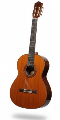 Aquastic Guitar 40