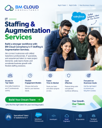 IT Staff Augmentation Consulting Service
